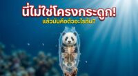 รูป Skeleton Panda ว่ายน้ำอยู่