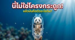 รูป Skeleton Panda ว่ายน้ำอยู่